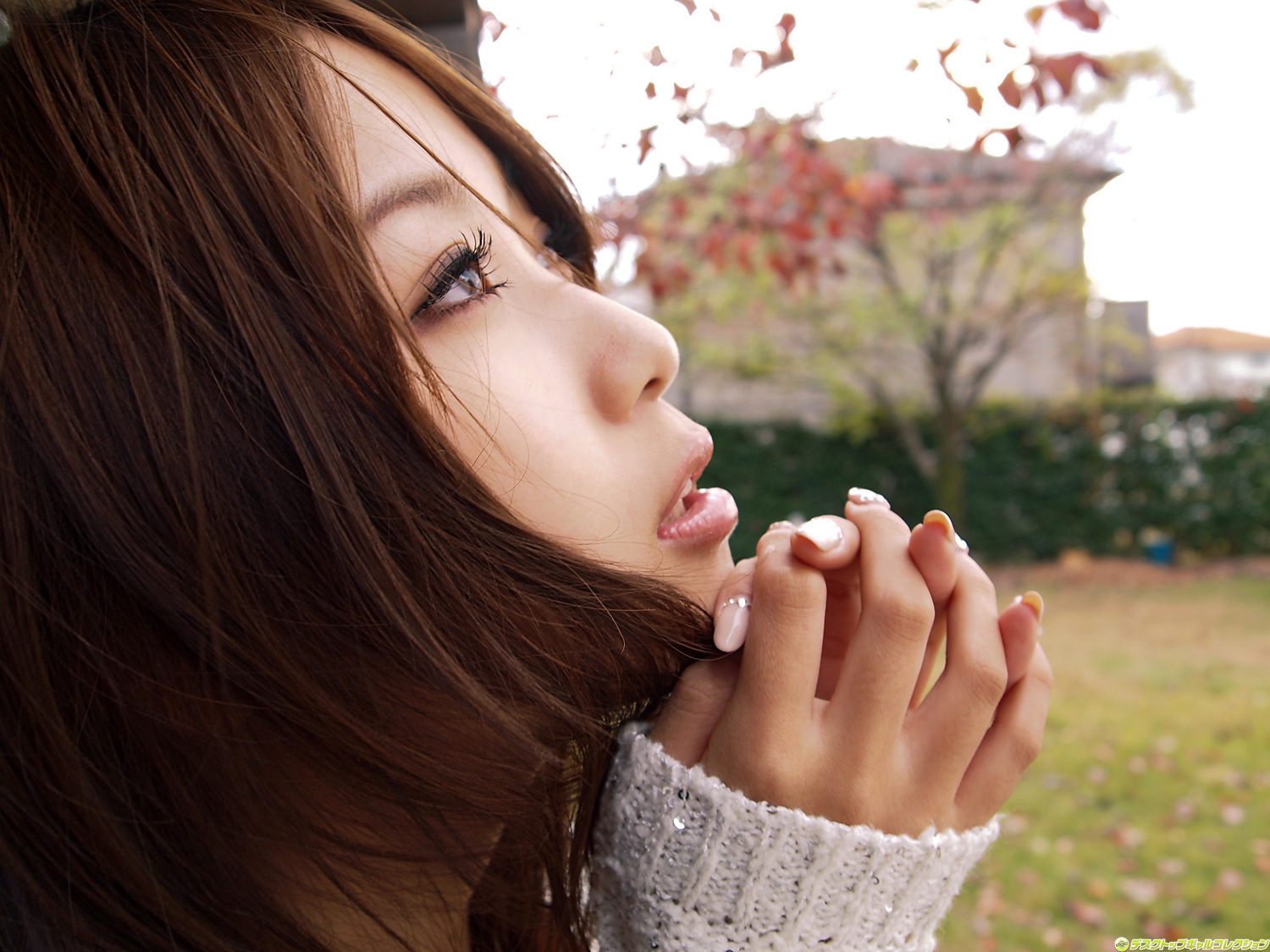 NO.915 西田麻衣 Mai Nishida  DGC套图